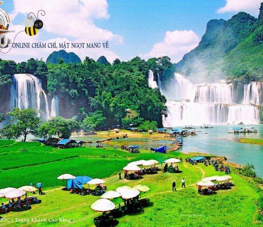 Dịch vụ viết bài quảng cáo tại Cao Bằng