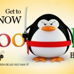Luật của Google – Các thuật toán tìm kiếm Google