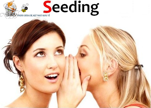 Dịch vụ Seeding Facebook chuyên nghiệp giá rẻ